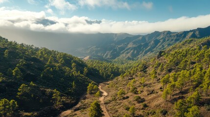 Naklejka premium Serene Mountain Landscape: A Breathtaking Aerial View of Gran Canaria's Rugged Beauty