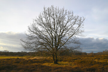 Natural Reserve Boberger Niederung in Hamburg, Germany