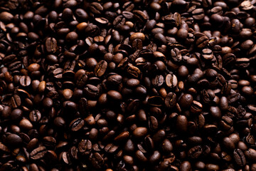 coffee beans close up photo