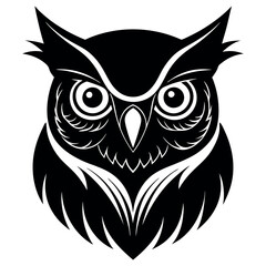 owl on white background