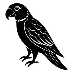 vector illustration of a bird