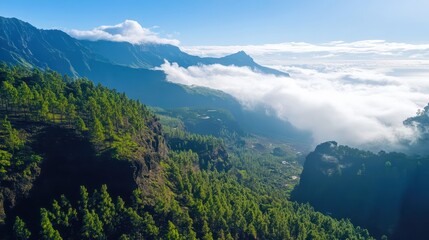Naklejka premium Majestic Mountain Landscape: A Breathtaking View of Cloud-Shrouded Peaks and Verdant Slopes