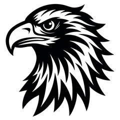 eagle head vector illustration
