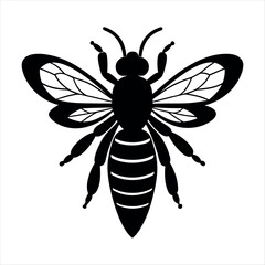vector illustration of a bee