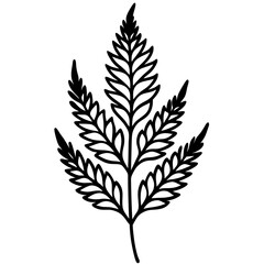 Artistic Fern Leaf Outlines in Vector