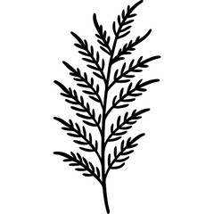 Artistic Fern Leaf Outlines in Vector