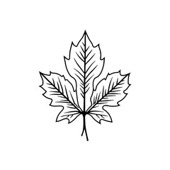 Silhouette maple leaf logo