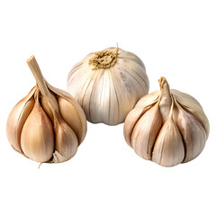 Trio of garlic cloves arranged in a row lifestyles growth medicine photography PNG file download