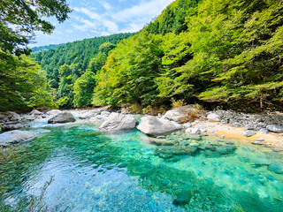 阿寺渓谷 © Mugi