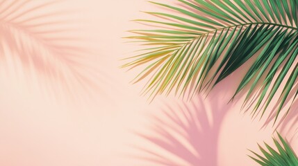 Tropical beach with palm trees and shadows on the wall.