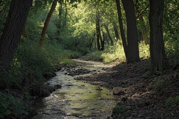 Obraz premium Natural waterway surrounded by trees in a woodland setting.
