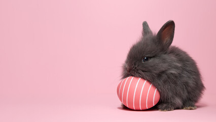 Gray bunny with pink striped egg on Easter holiday