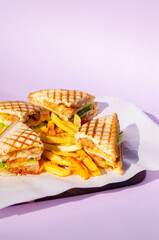 Sandwich, toast, french fries on a plate