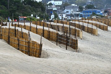 Sand fences made of bamboo installed on a sandy beach in Japan. The purpose of the sand fence is to...