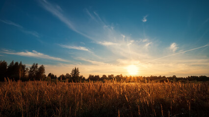 Sky background on sunset. Nature composition. Summer background.