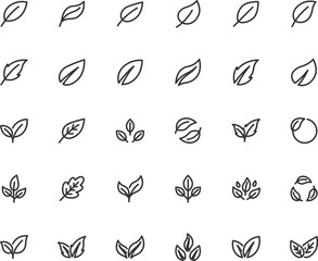 Vector set of leaf line icons. Pixel perfect.