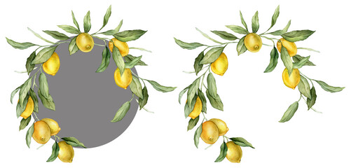 Lemon Fruits round Frame. Hand drawn watercolor illustration of wreath with Citrus branches on white isolated background. Drawing with tropical fruit lemon for food label or cards design. © Ekatmart