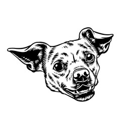 vector illustration of a dog