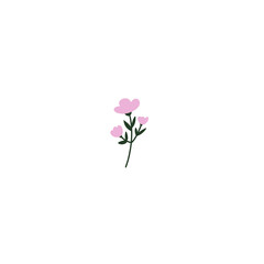 Fototapeta premium pink rose petals