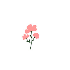pink flower, illustration 