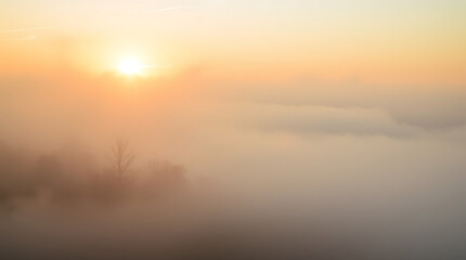 Fototapeta premium Misty landscape at sunrise, golden hour, ethereal fog, soft warm light, dreamy atmosphere, minimalist composition, hazy horizon, silhouetted trees, peaceful serenity, pastel sky, nature photography, a