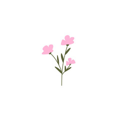 pink rose flower