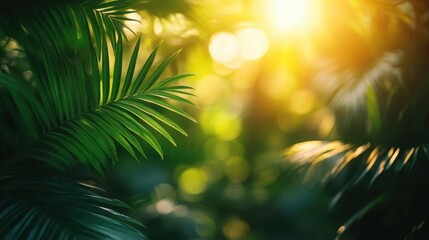 Tropical jungle, close-up of dense green foliage with sunlight filtering through