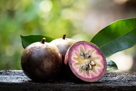 Star apple or Chrysophyllum cainito fruit on natural background.