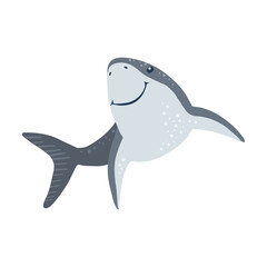 Funny shark isolated on white background