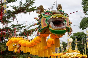  Large Chinese dragon puppet