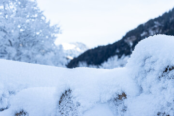 Baumstamm mit Schnee