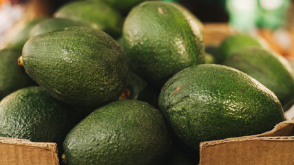Freshly harvested avocados grouped together in a tight frame, showcasing their vibrant green color. Shopping At Farmers Market Stall. Close up. Part of the series