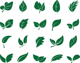Leaf Icons Set - Green Nature Elements Collection