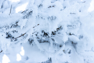 Schnee 