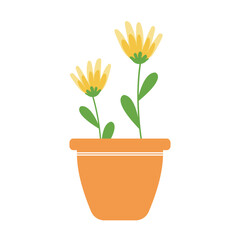 flower in a pot