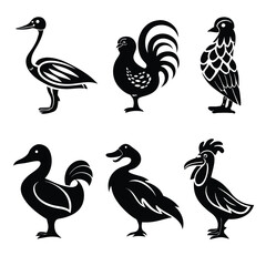 Obraz premium Farm and Wild Bird Silhouettes HD Illustration Set