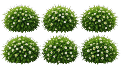 Flowers and greenery