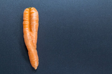 Crooked carrots on black background from organic farmer as symbol for couple in love and...