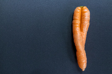 Crooked carrots on black background from organic farmer as symbol for couple in love and...