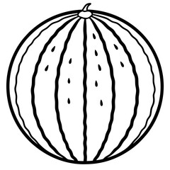 watermelon line art vector