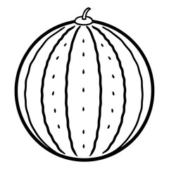 watermelon line art vector