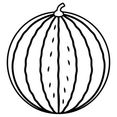 watermelon line art vector