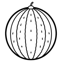 watermelon line art vector