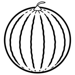 watermelon line art vector