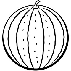 watermelon line art vector