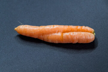 Crooked carrots on black background from organic farmer as symbol for couple in love and togetherness as bent carrots or incontinence and vaginal fungus or healthy nutrition natural grown at home