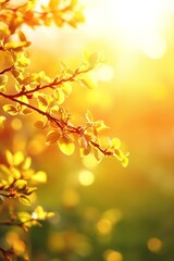 Fototapeta premium Golden Spring Backlit Fresh Leaves Glimmering in Warm Sunlight, Nature s Rebirth and Renewal