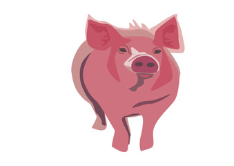 Illustration of a pig on a white background. 