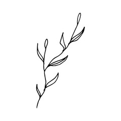 branch with leaves line art 