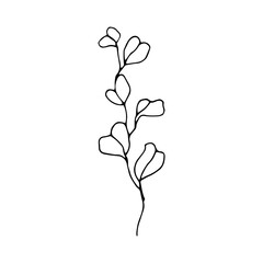 spring flower outline design